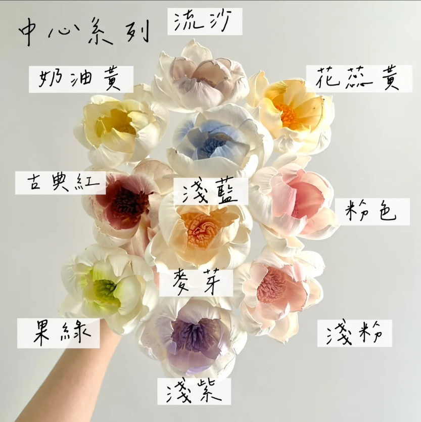 越南索拉花  牡丹(白心) 4CM<十支一把>