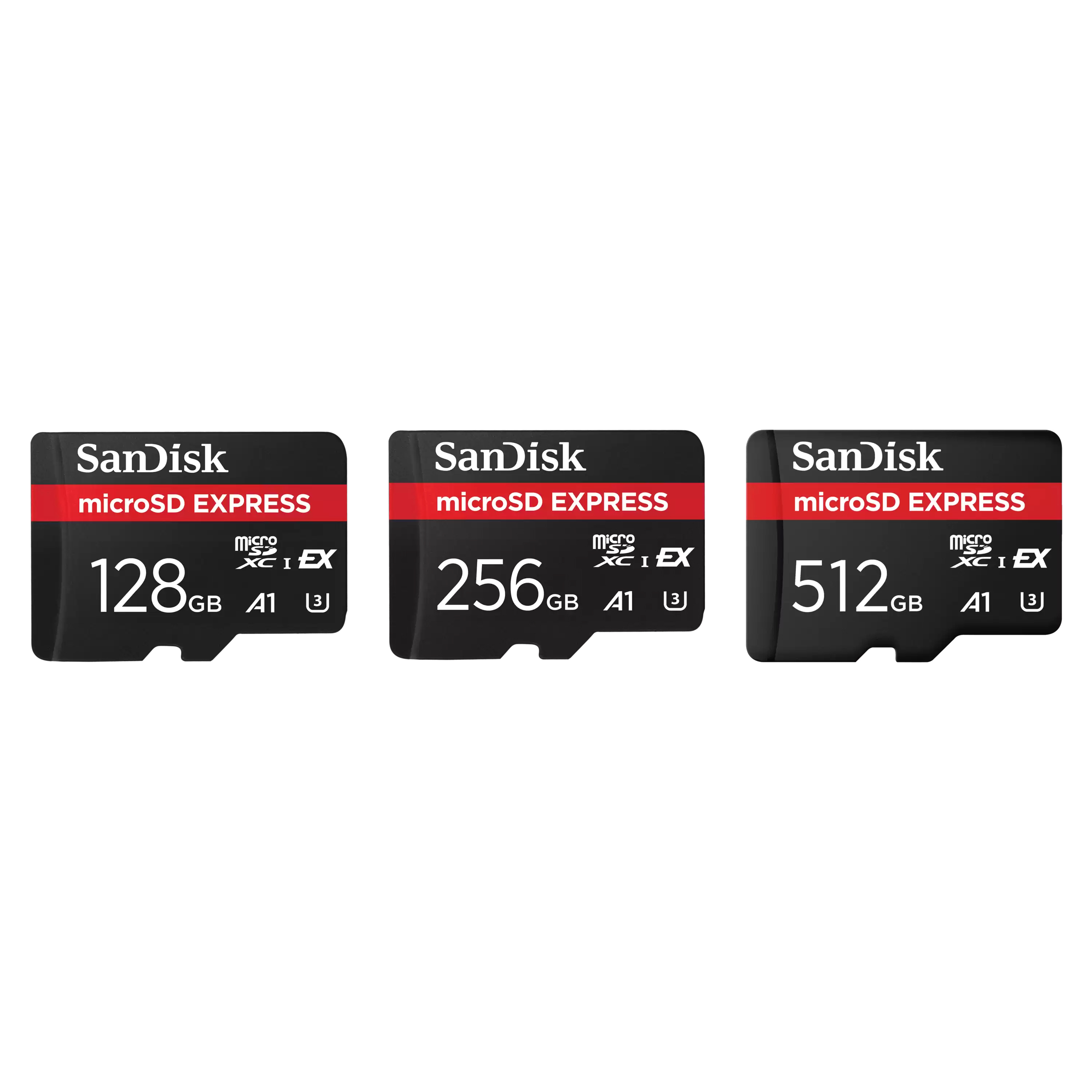 SanDisk microSD™ Express Card - Rainbow Store Camera