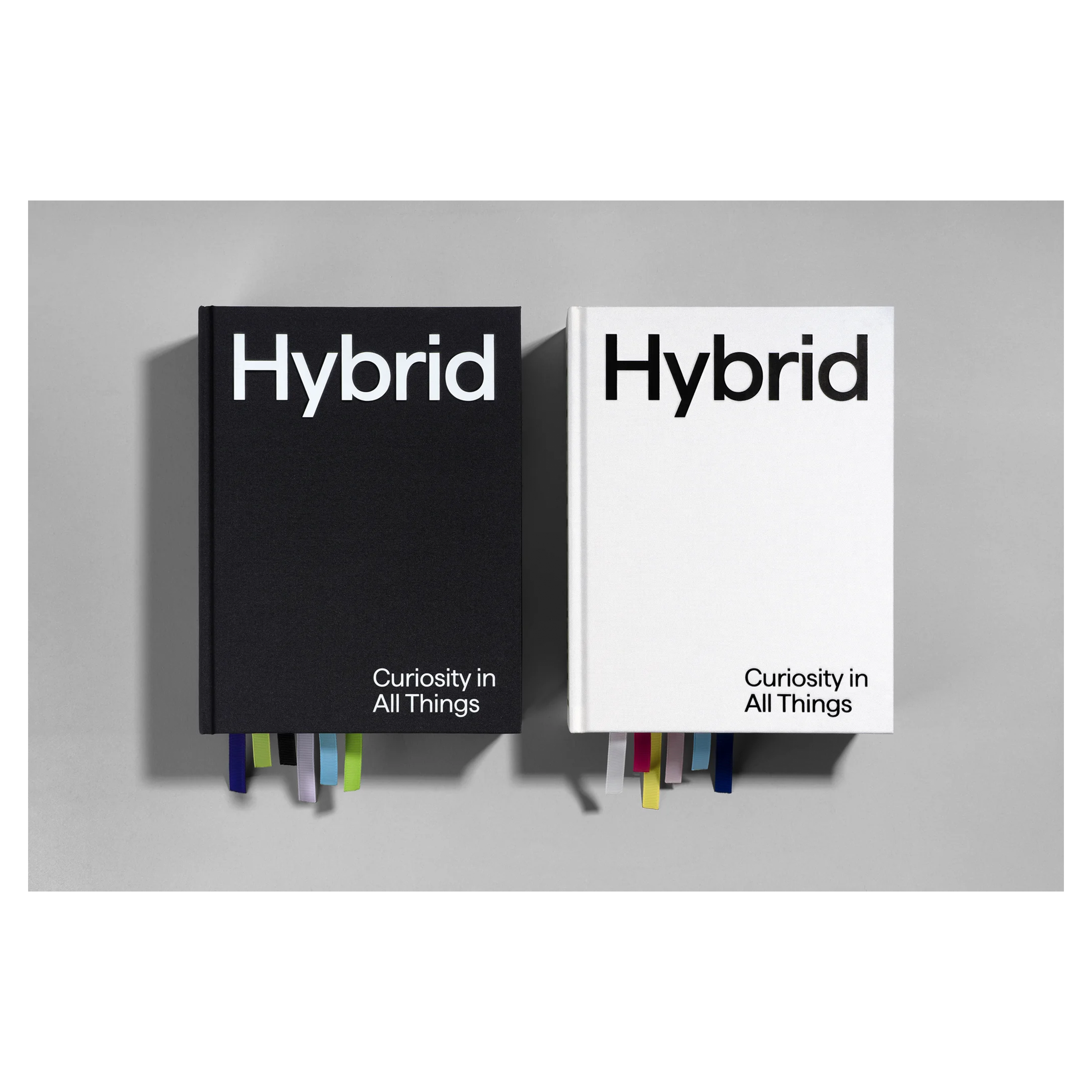 Hybrid: Curiosity in All Things