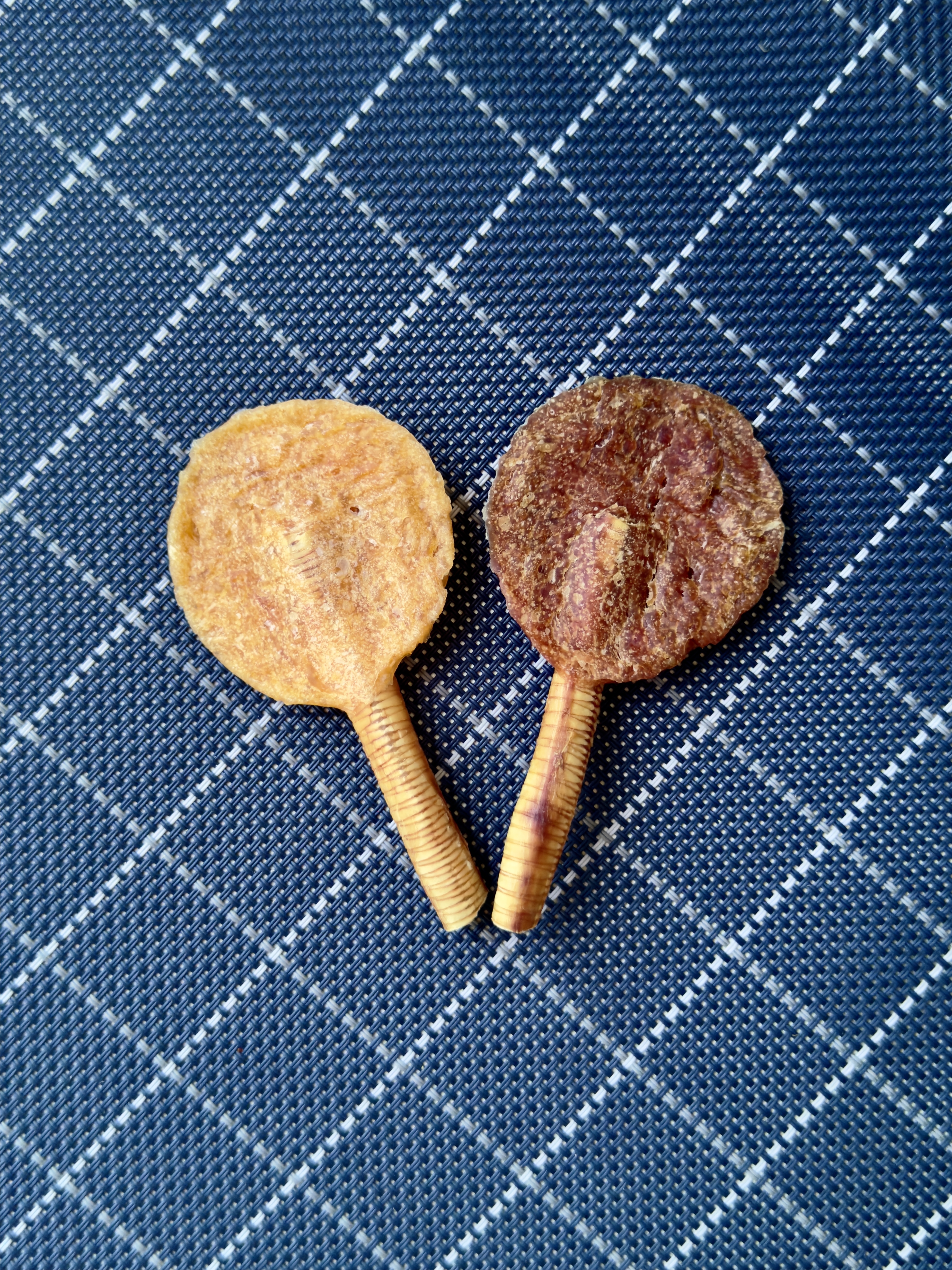 買1送1🌟脆笛棒棒糖🌟