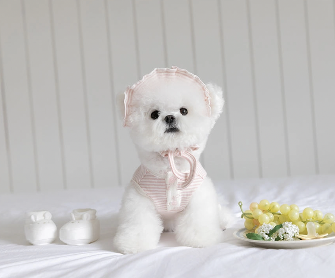 小熊寶貝綁帶帽