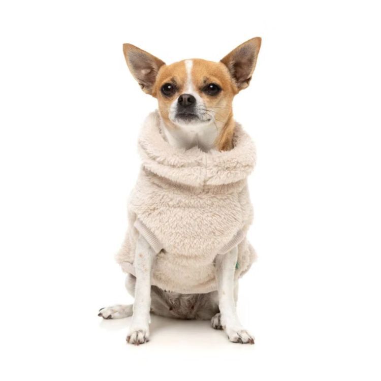 FuzzYard - 泰迪熊高領毛衣(米色）