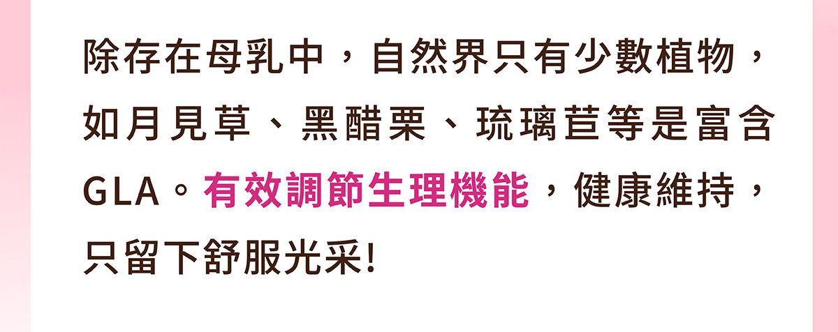 美洶波波銷售頁-22