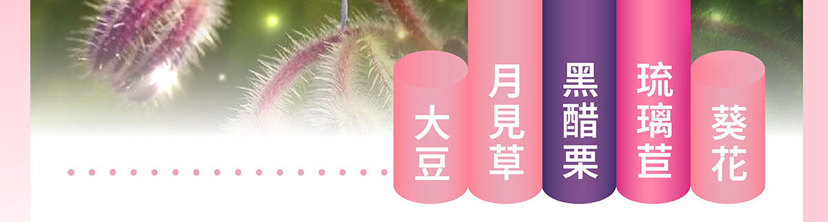 美洶波波銷售頁-24