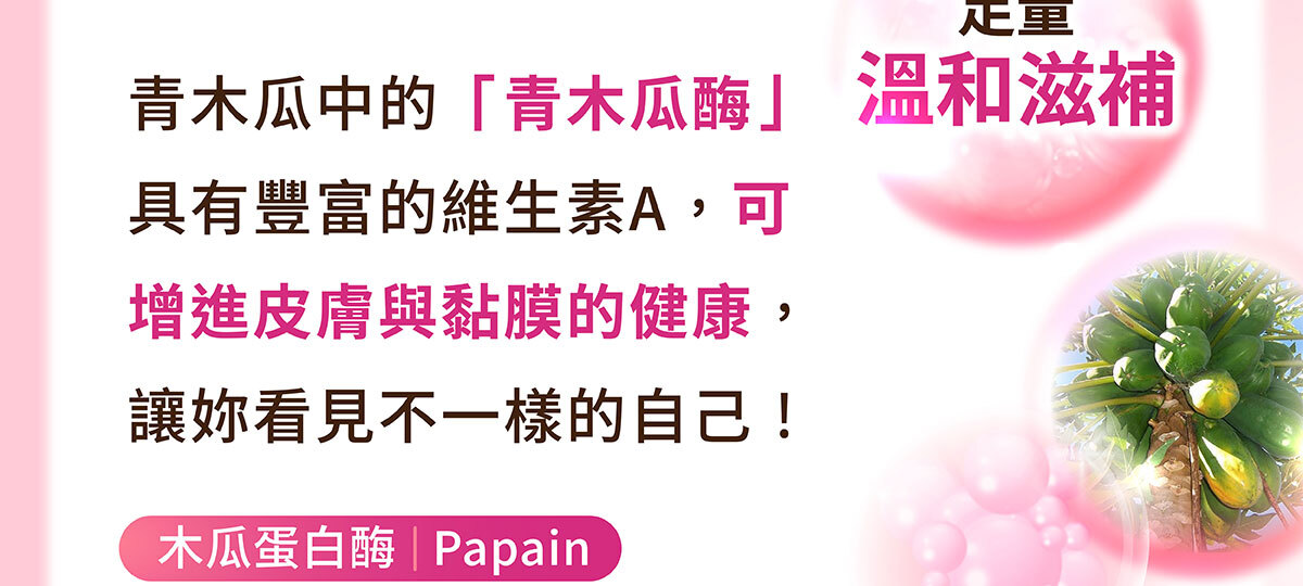 美洶波波銷售頁-2-4