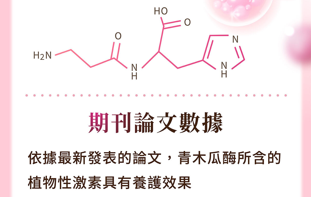 美洶波波銷售頁-2-5