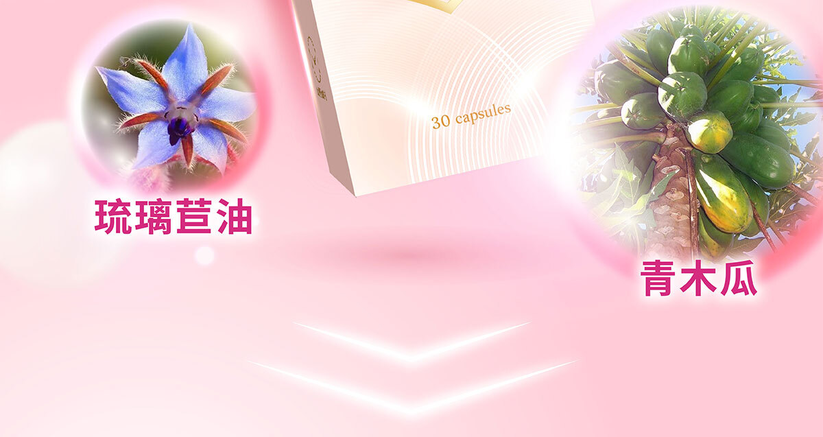 美洶波波銷售頁-2-21