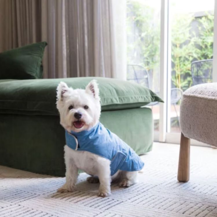 FuzzYard - 絎縫棉質外套(藍色）