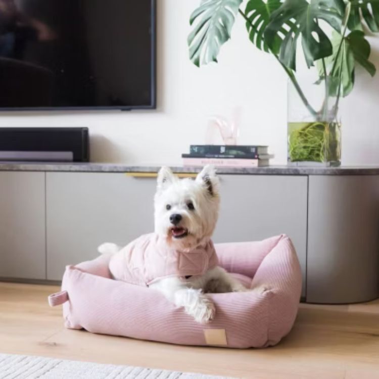 FuzzYard - 絎縫棉質外套(粉色）