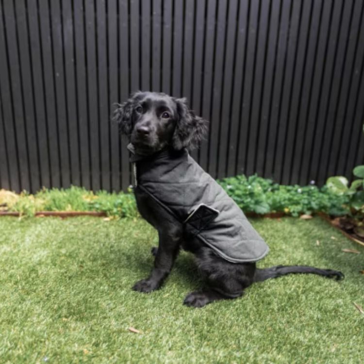 FuzzYard - 絎縫棉質外套(深灰）