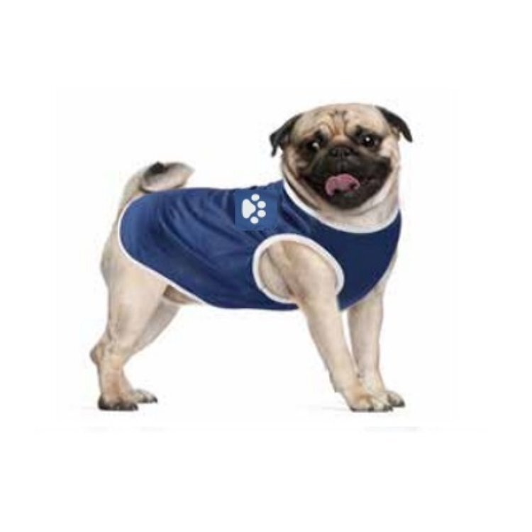 犬用衣服/動物 L