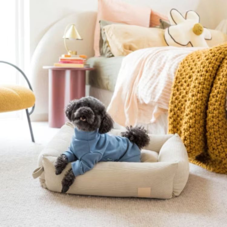 FuzzYard - 天鵝絨高領四腳衣(藍色）