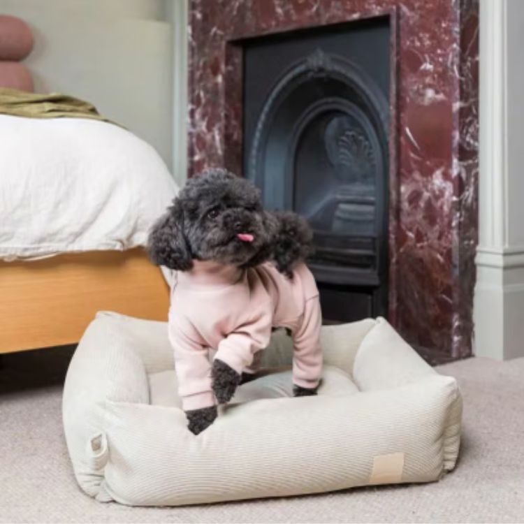 FuzzYard - 天鵝絨高領四腳衣(粉色）