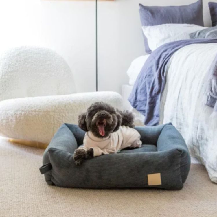 FuzzYard - 天鵝絨高領四腳衣(米色）