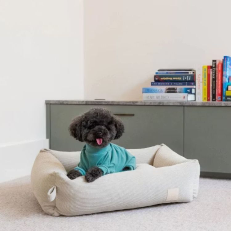 FuzzYard - 天鵝絨高領四腳衣(橄欖綠）