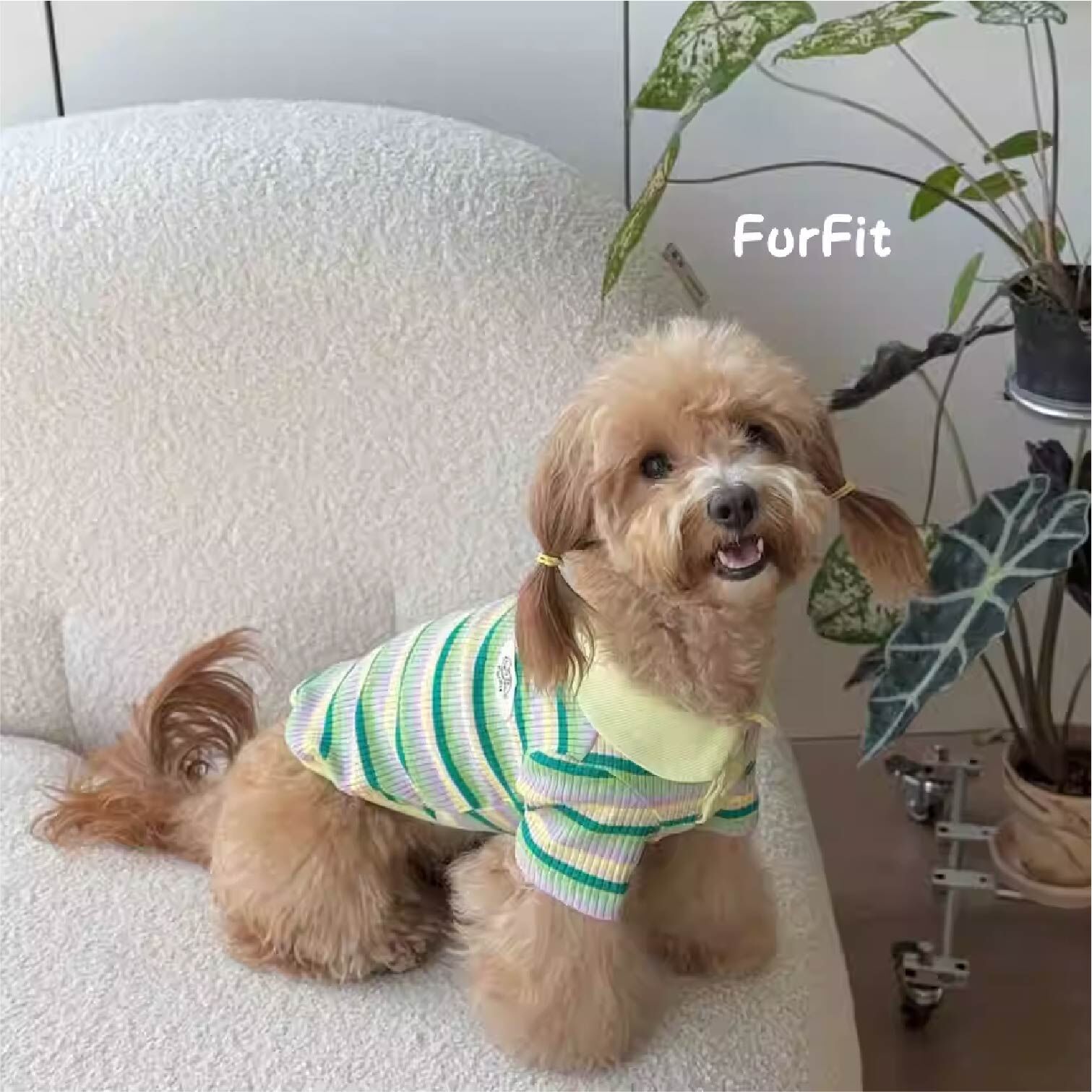 FurFit - 寵物翻領條紋POLO衫 - (森林綠/粉色條紋/藍色條紋)