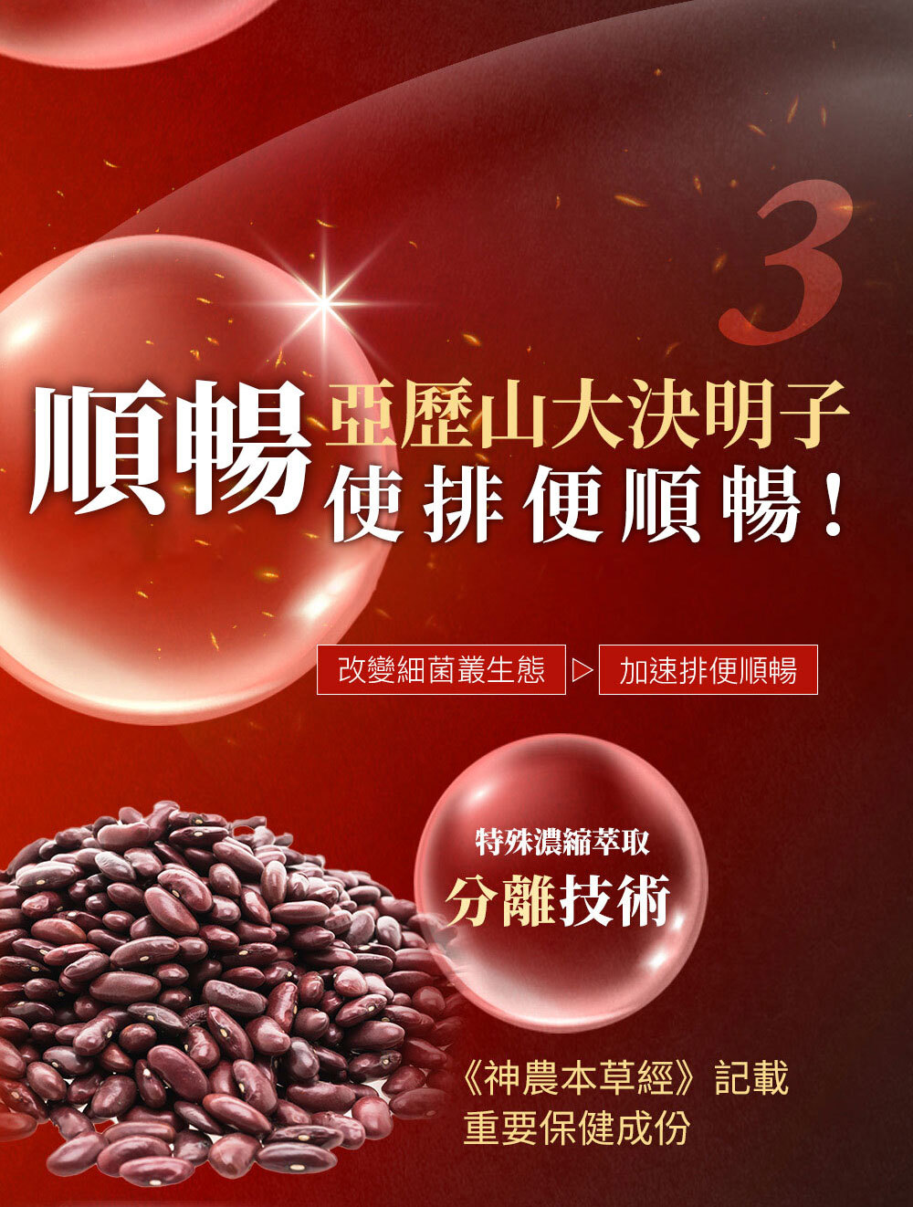 燃銷售頁修改-排