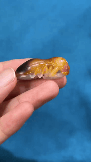 117229 和田玉籽料金玉滿堂