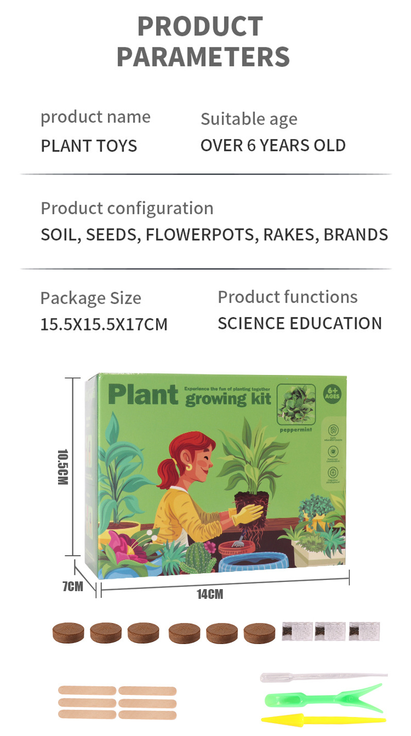 STEM 陽光觀察盆栽種植迷你小花盆套裝實驗套裝 MC958