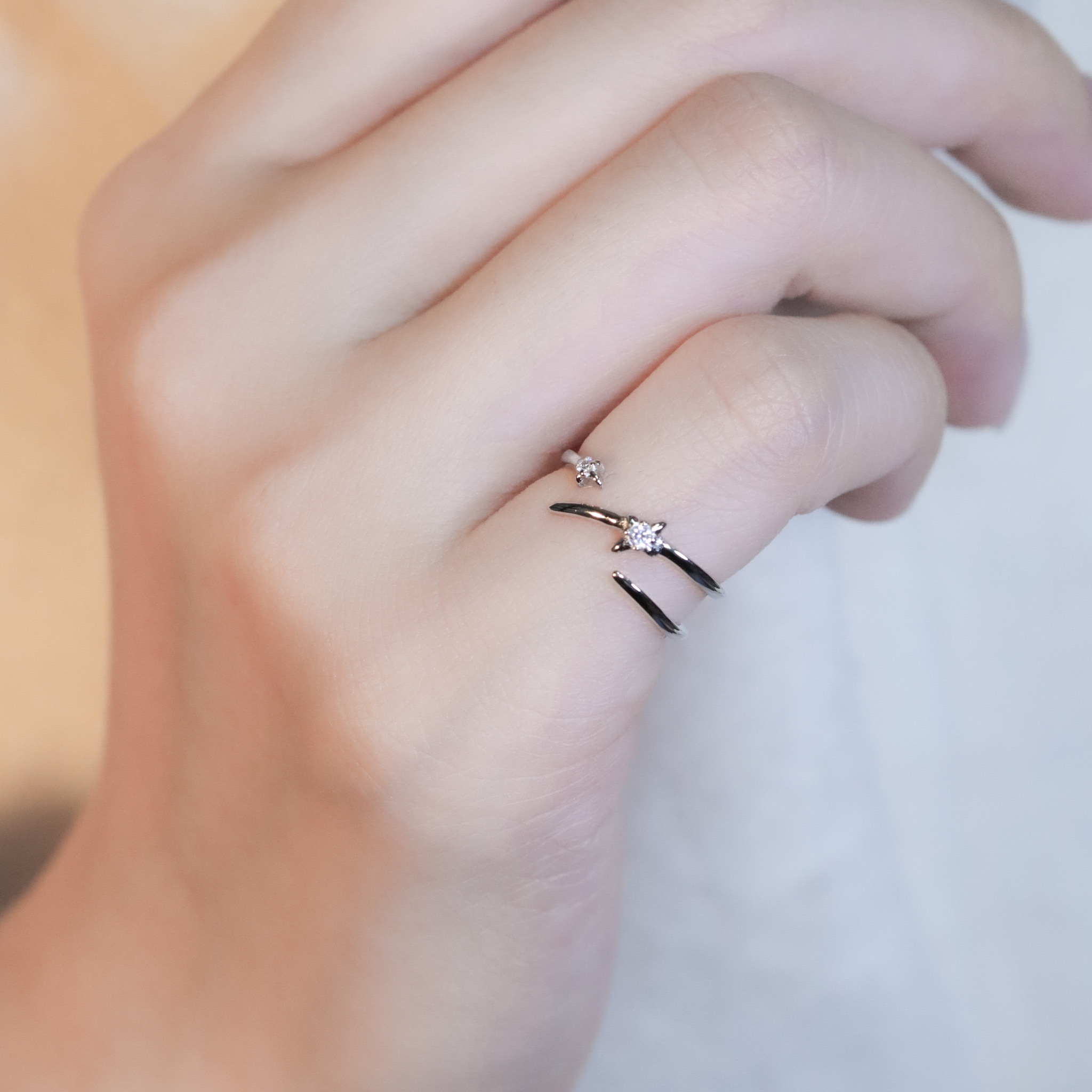 | 925純銀・白金 | 我們的星座尾戒 | RI0981 |