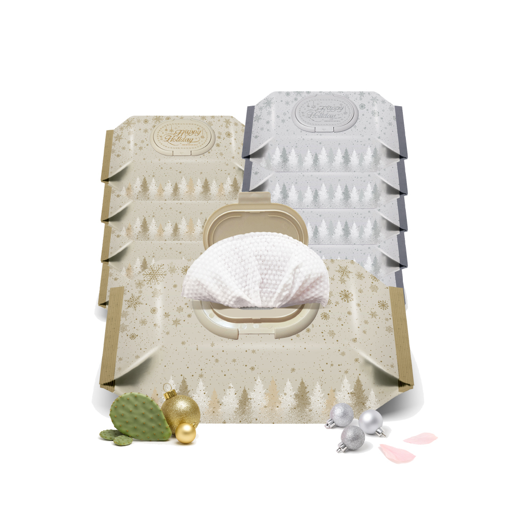 ENBLANC 聖誕節慶極光限量款濕紙巾綜合組｜10包入共700抽