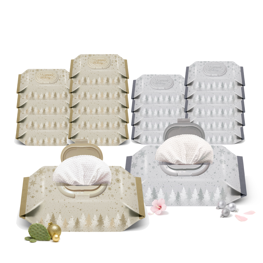 ENBLANC 聖誕節慶極光限量款濕紙巾綜合組｜20包入共1400抽