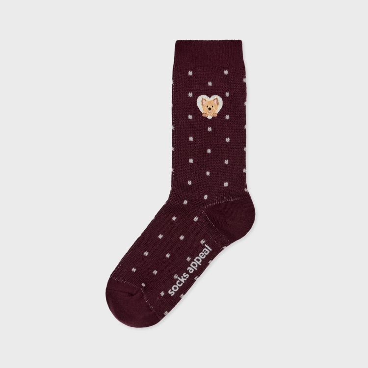 韓國 socks appeal® 狗狗中筒襪 刺繡點點 約克夏㹴犬