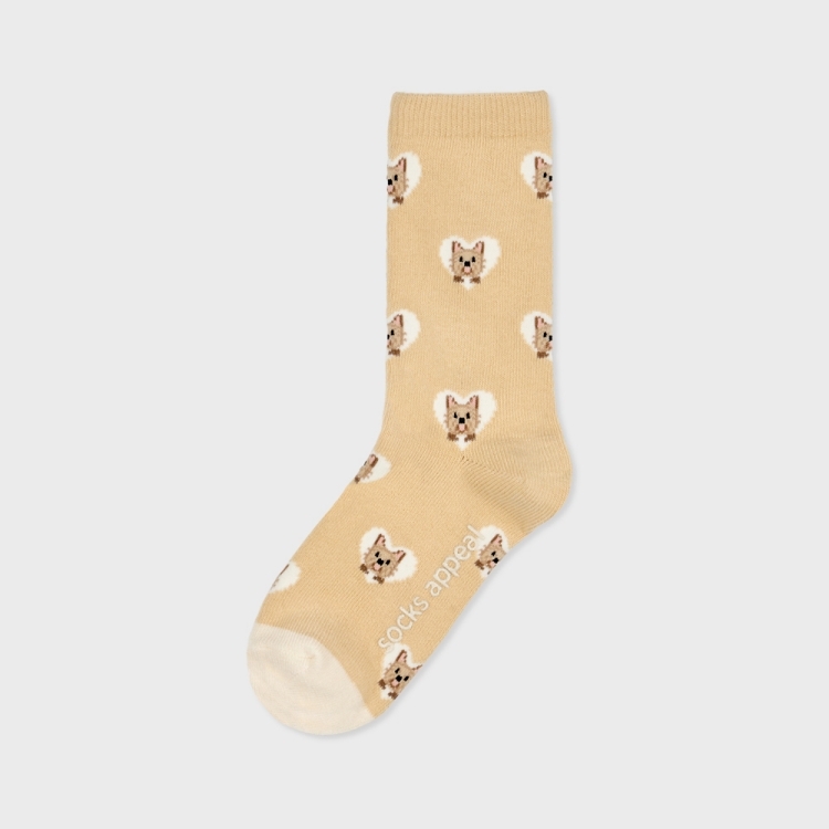 韓國 socks appeal® 狗狗中筒襪 約克夏㹴犬