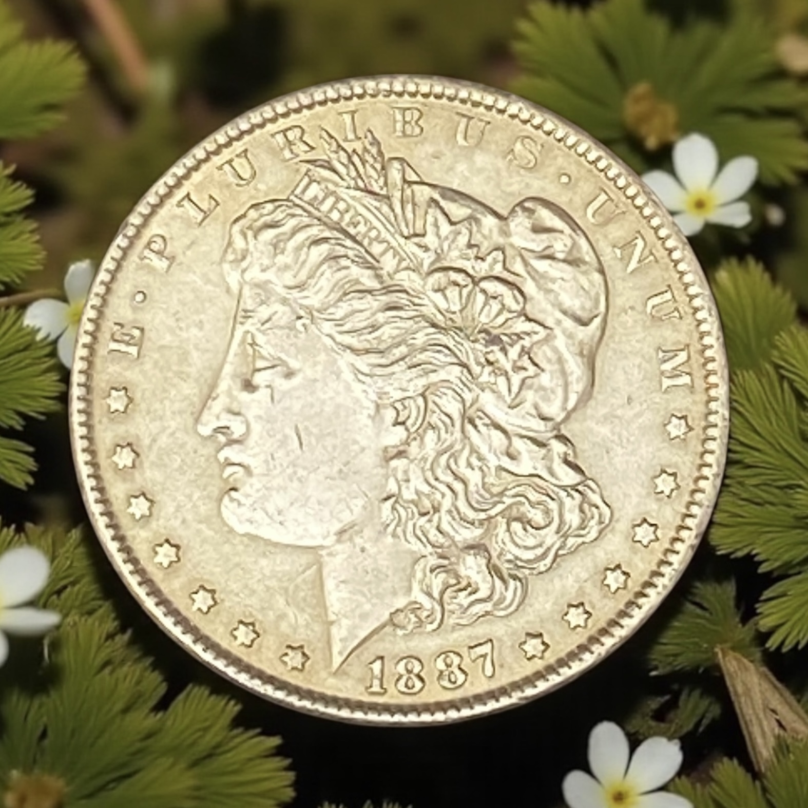 1887 USA 1 dollar (Silver coin) No mint mark