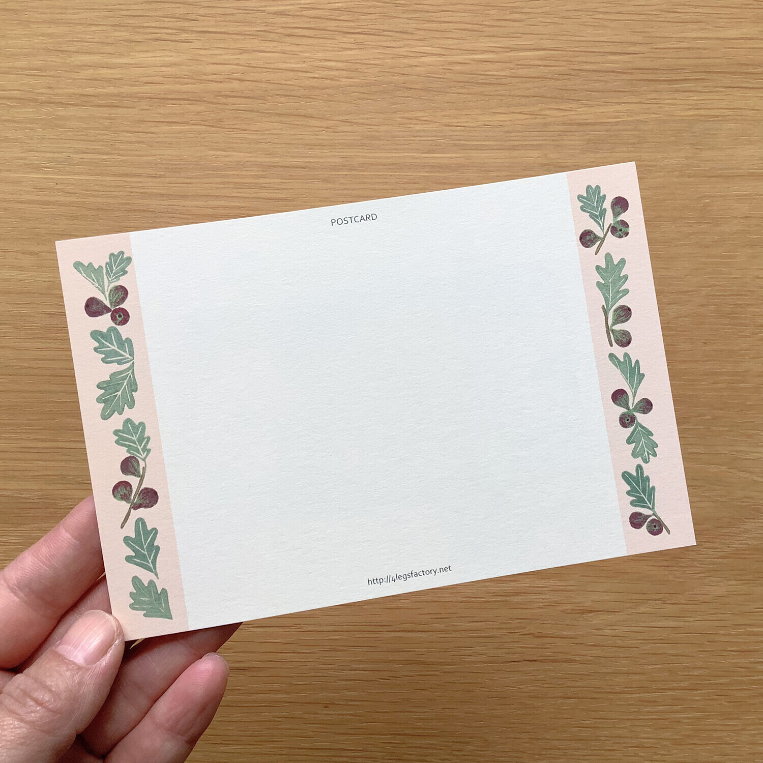 蘇格蘭貓烤派 貓咪繪本明信片｜日本 4legs