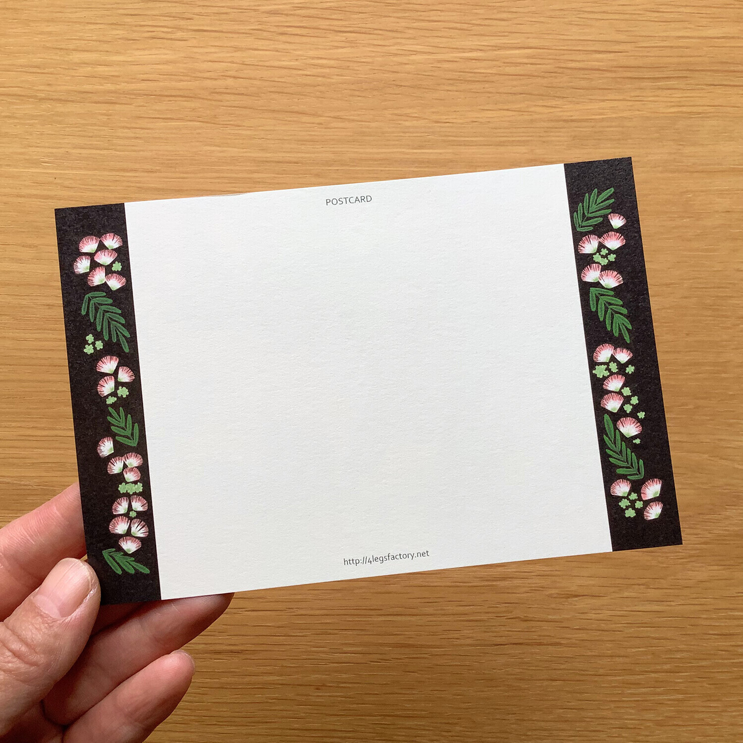 挪威森林貓 貓咪繪本明信片｜日本 4legs