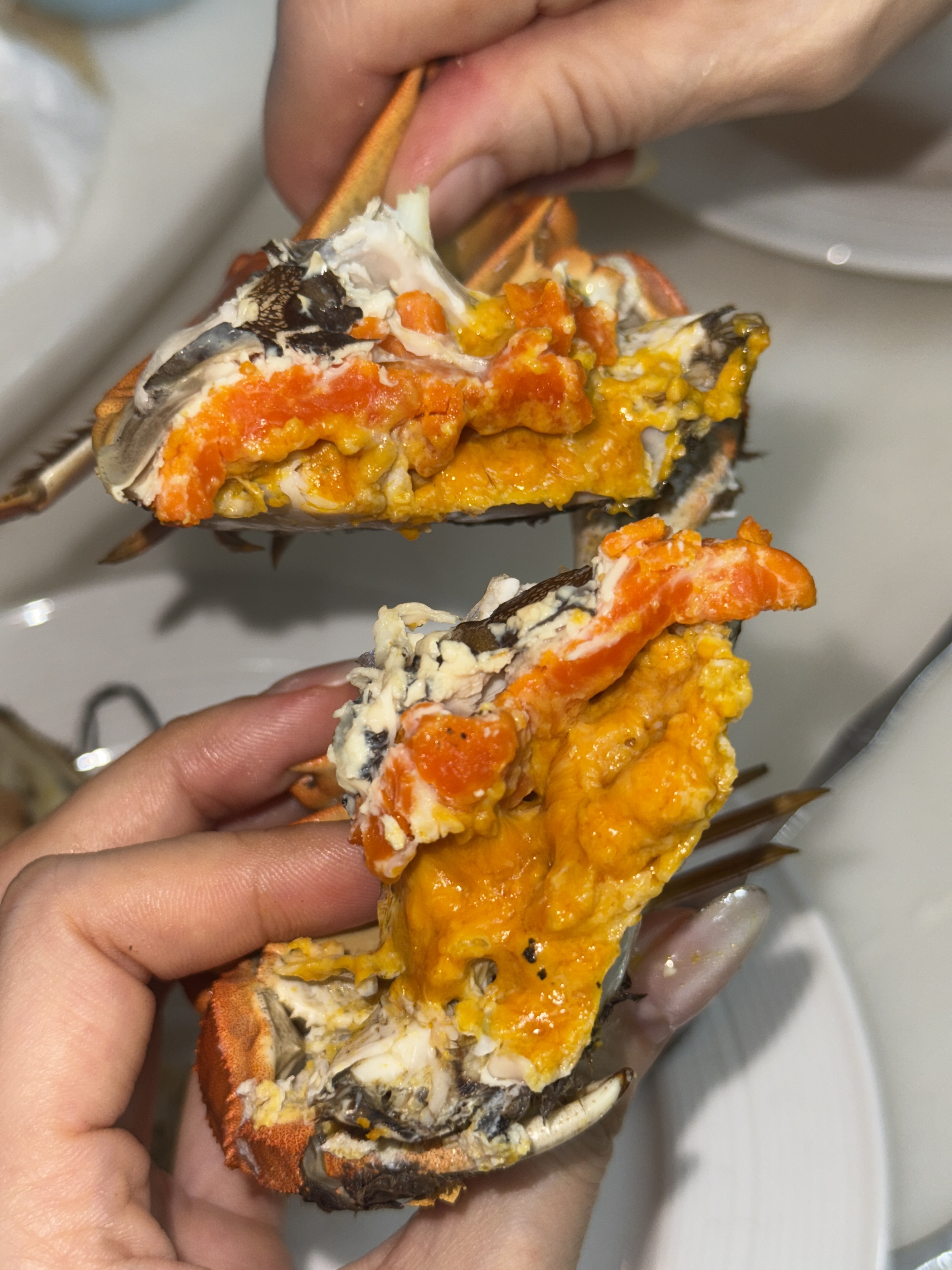 蟹季限定--太湖蟹乸套餐6隻（6-6.5両）