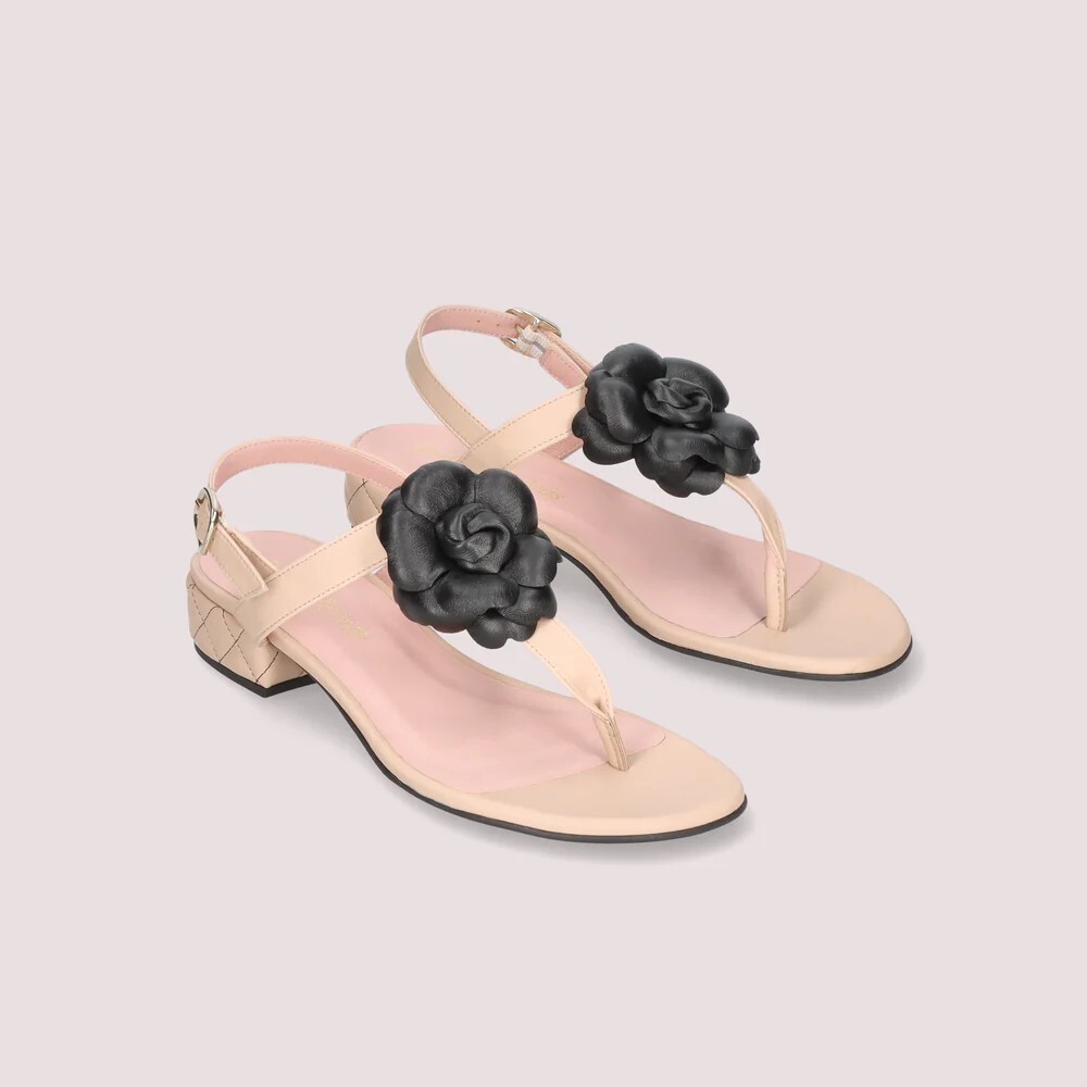 1PB0109-095 [PRETTY BALLERINAS] Coton Coco Sandals #52269_B (BR)