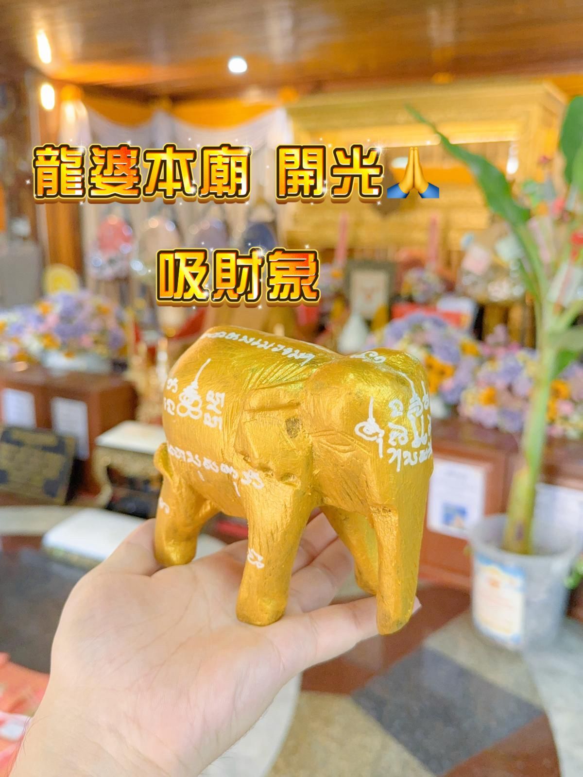 龍婆本廟 開光🙏㊗️ 吸財大象
