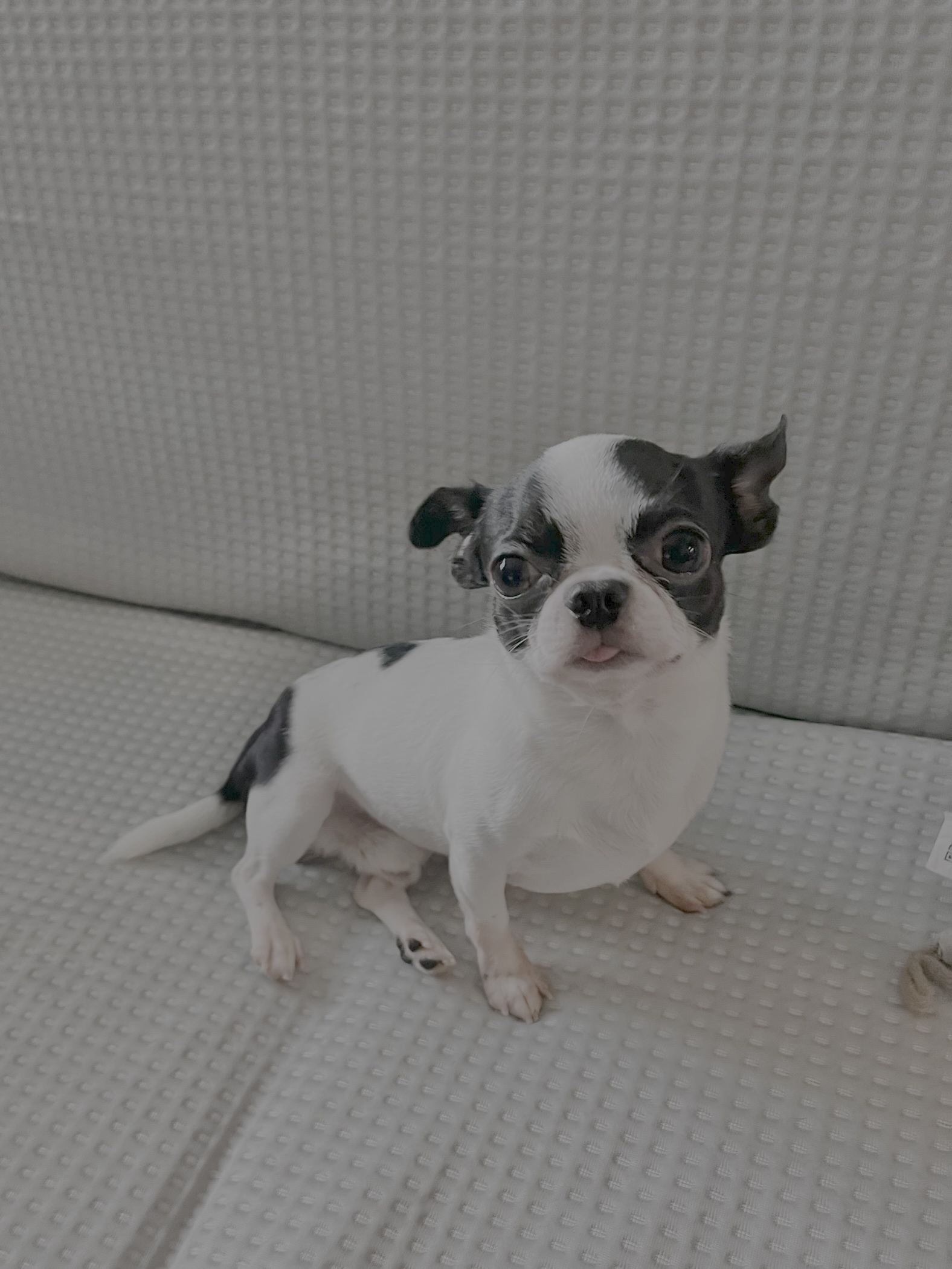 Hello ~ for Stephanie