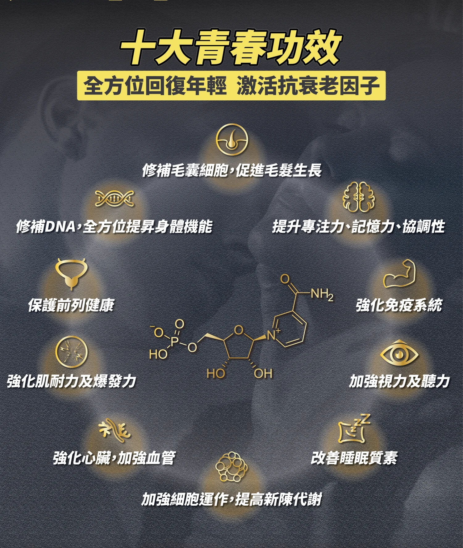 力神 NMN 19800+ 男士逆天回春丸 (60粒) (黑瑪卡+淫羊藿配方)