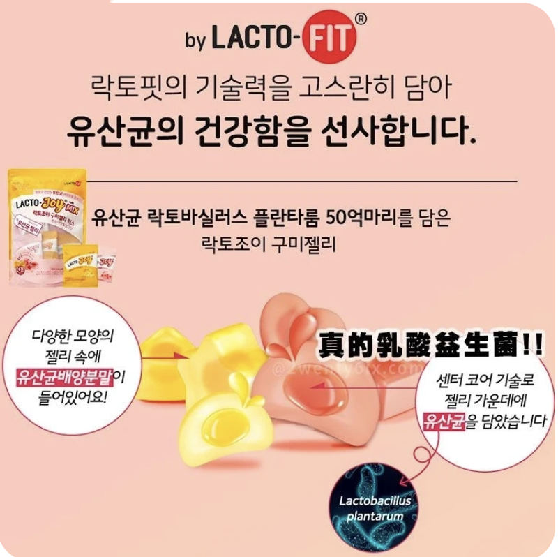 韓國連線 LATCO JOY ME益生菌軟糖（芒果味+蜜桃味）（K11 CO693）