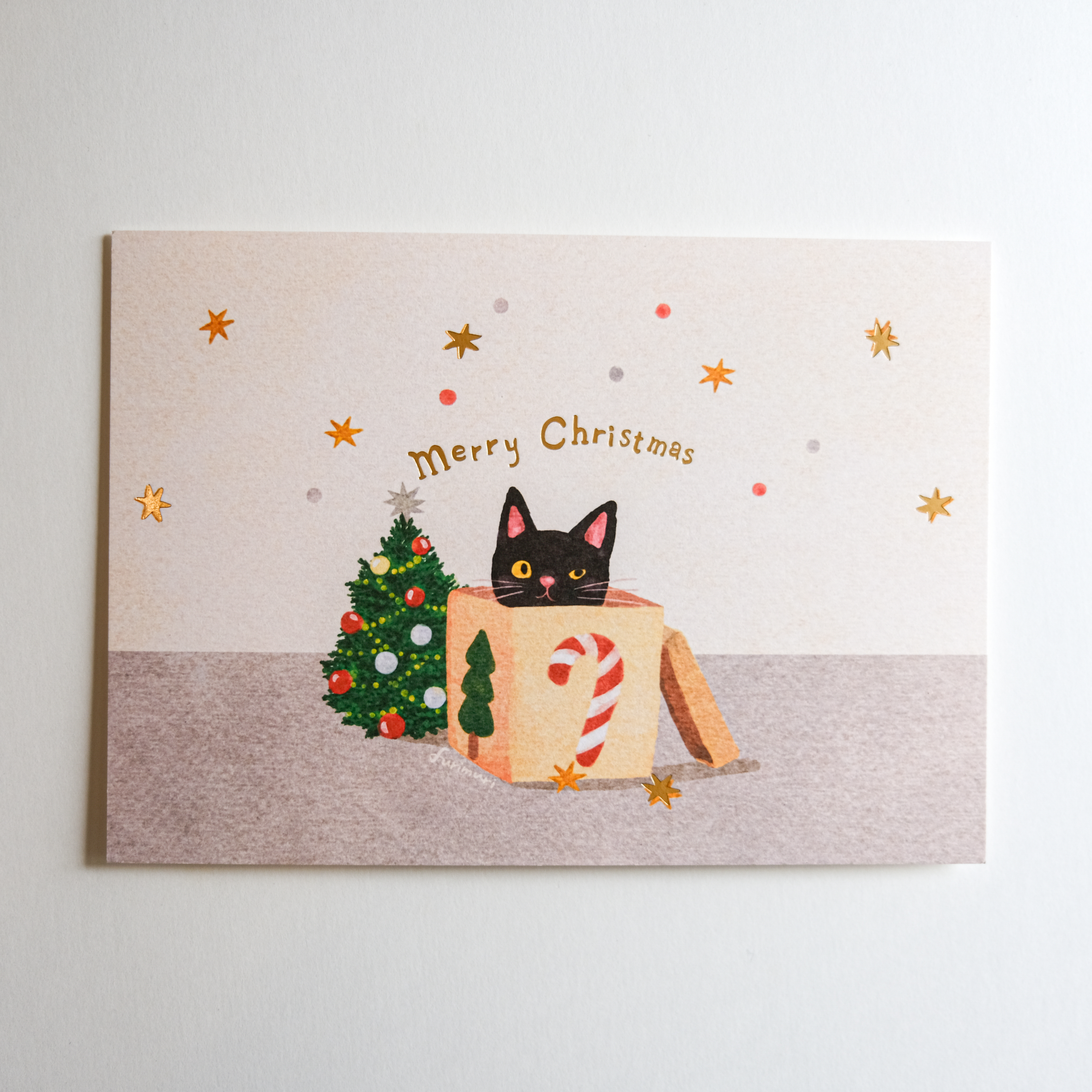 禮物盒裡的小黑貓 燙金明信片｜毛乖畫鹿 Furimuri 台灣