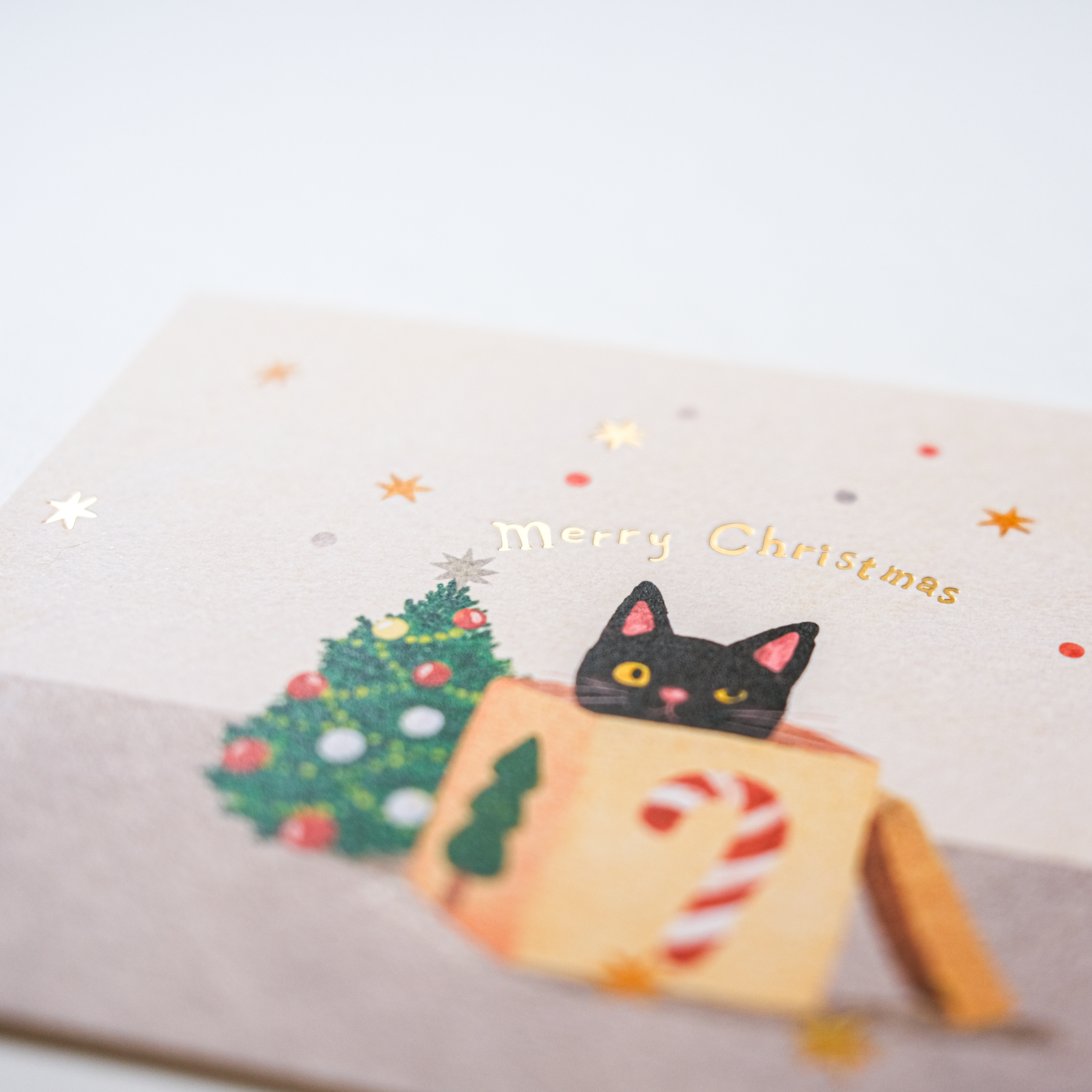 禮物盒裡的小黑貓 燙金明信片｜毛乖畫鹿 Furimuri 台灣