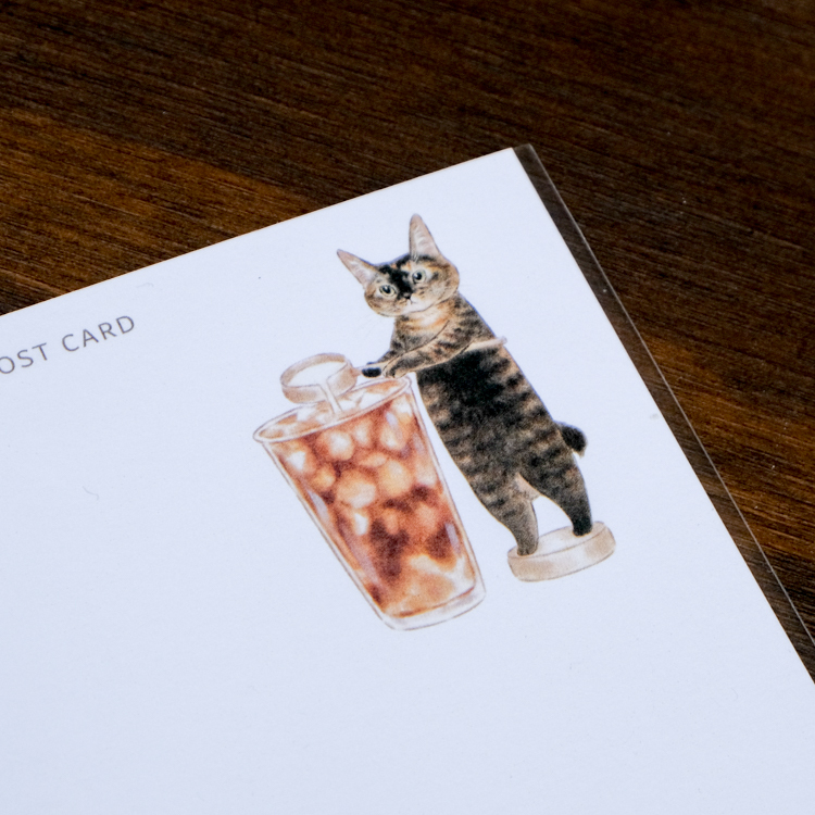 補補貓‧大衛煮愛｜明信片｜玳瑁拿鐵