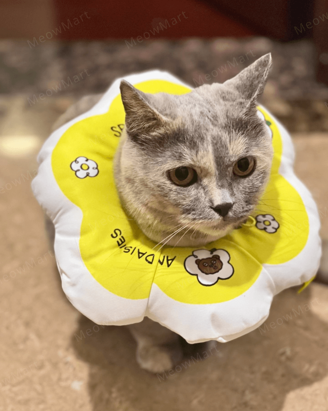 minions伊麗莎白頸圈