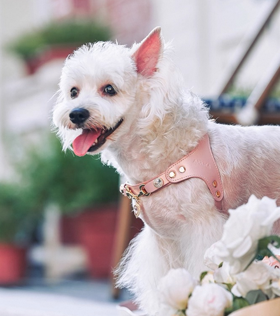ARKIKA 爱心吊坠猫狗高颜值 胸背/脖圈/牵引绳 舒适质感皮质 小型犬（尺寸表在图11）
