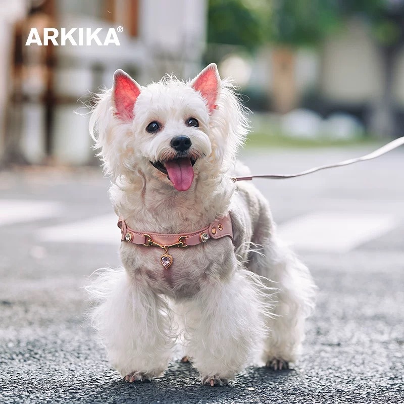 ARKIKA 爱心吊坠猫狗高颜值 胸背/脖圈/牵引绳 舒适质感皮质 小型犬（尺寸表在图11）
