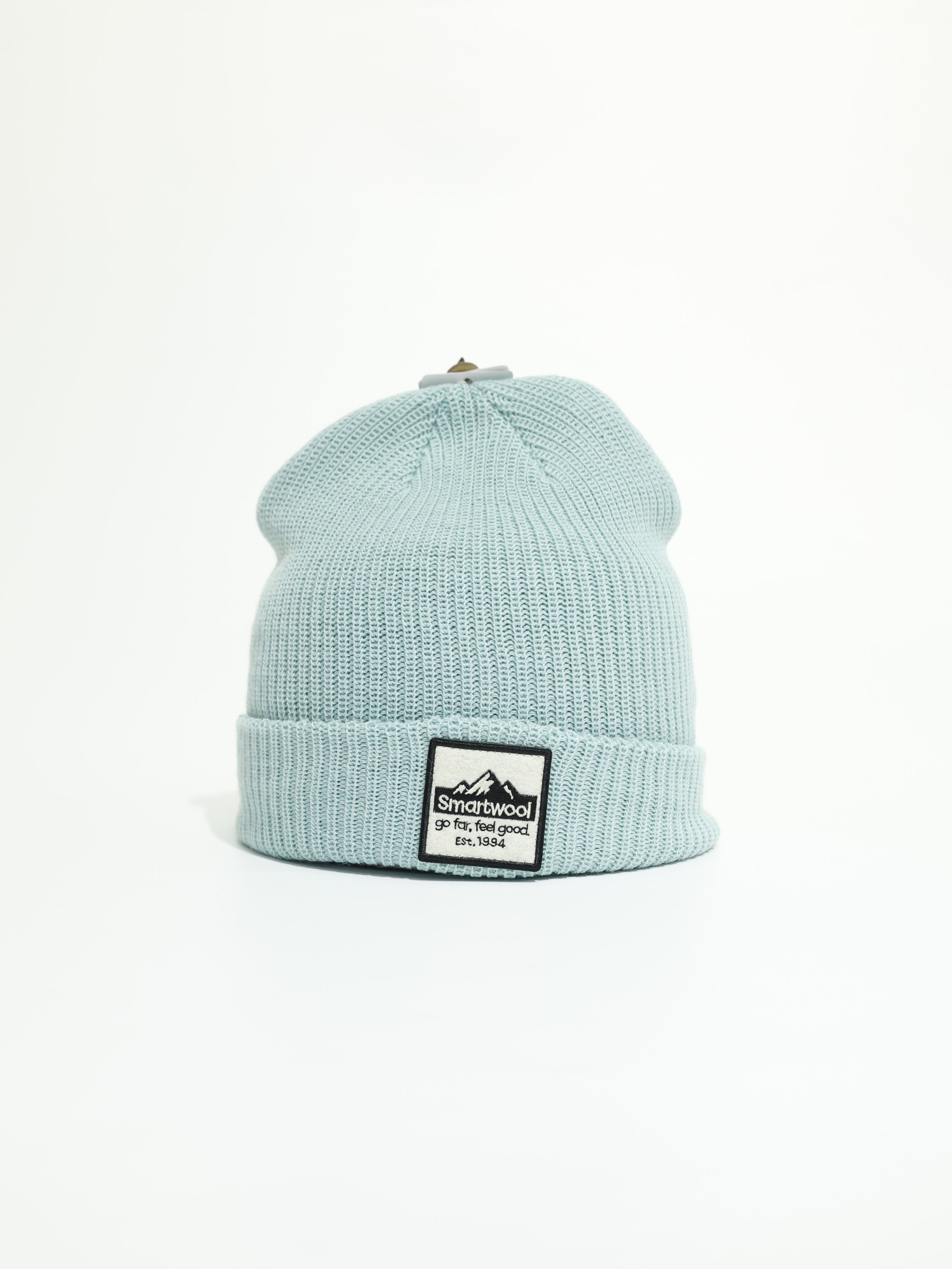 SMARTWOOL Logo 毛帽 美麗諾羊毛 SW011493
