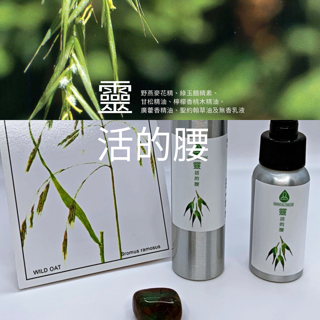 【靈活的腰】植物＆礦物晶素系列紓壓乳液 50ml / 100ml