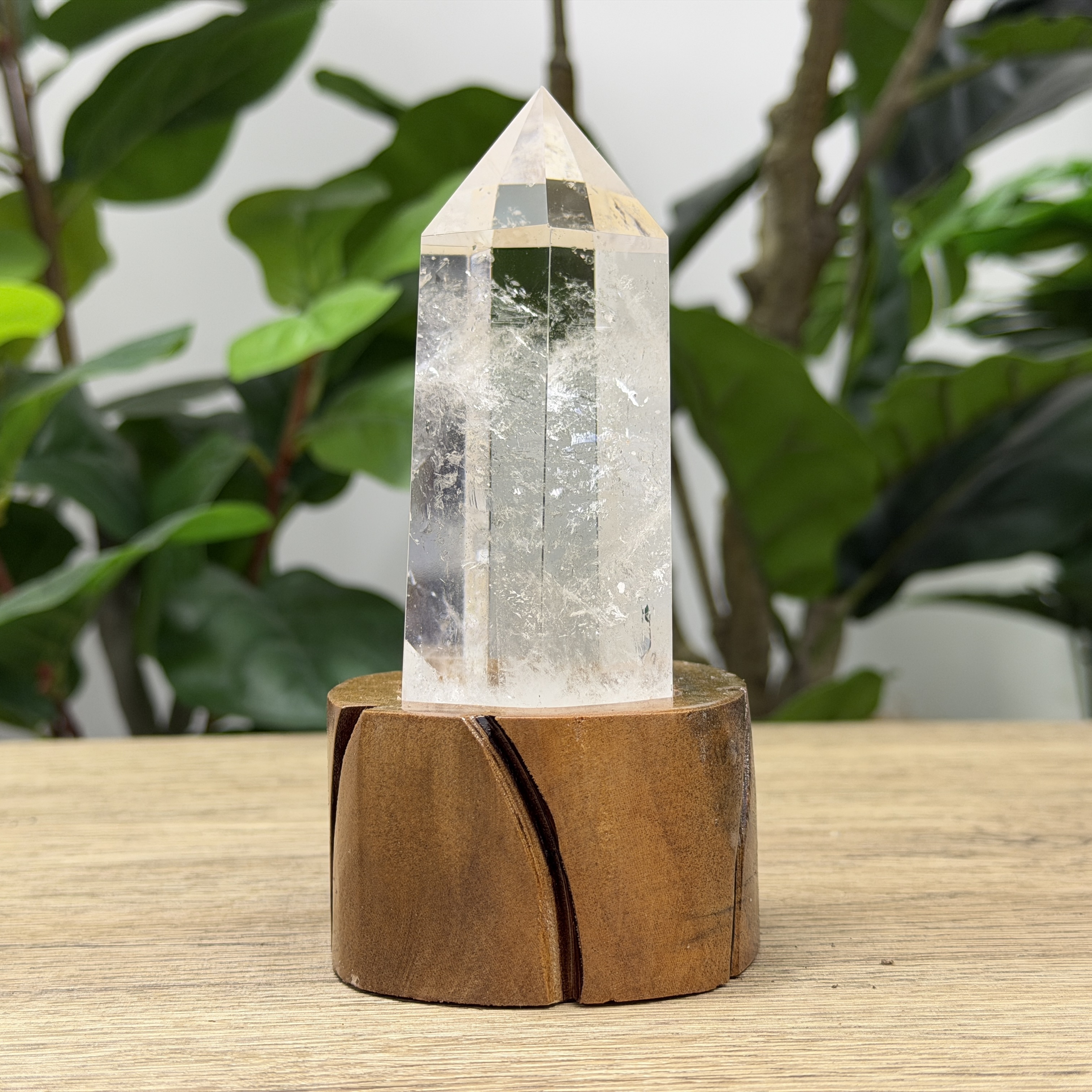 白晶柱 手圍14.5以上 WD2171