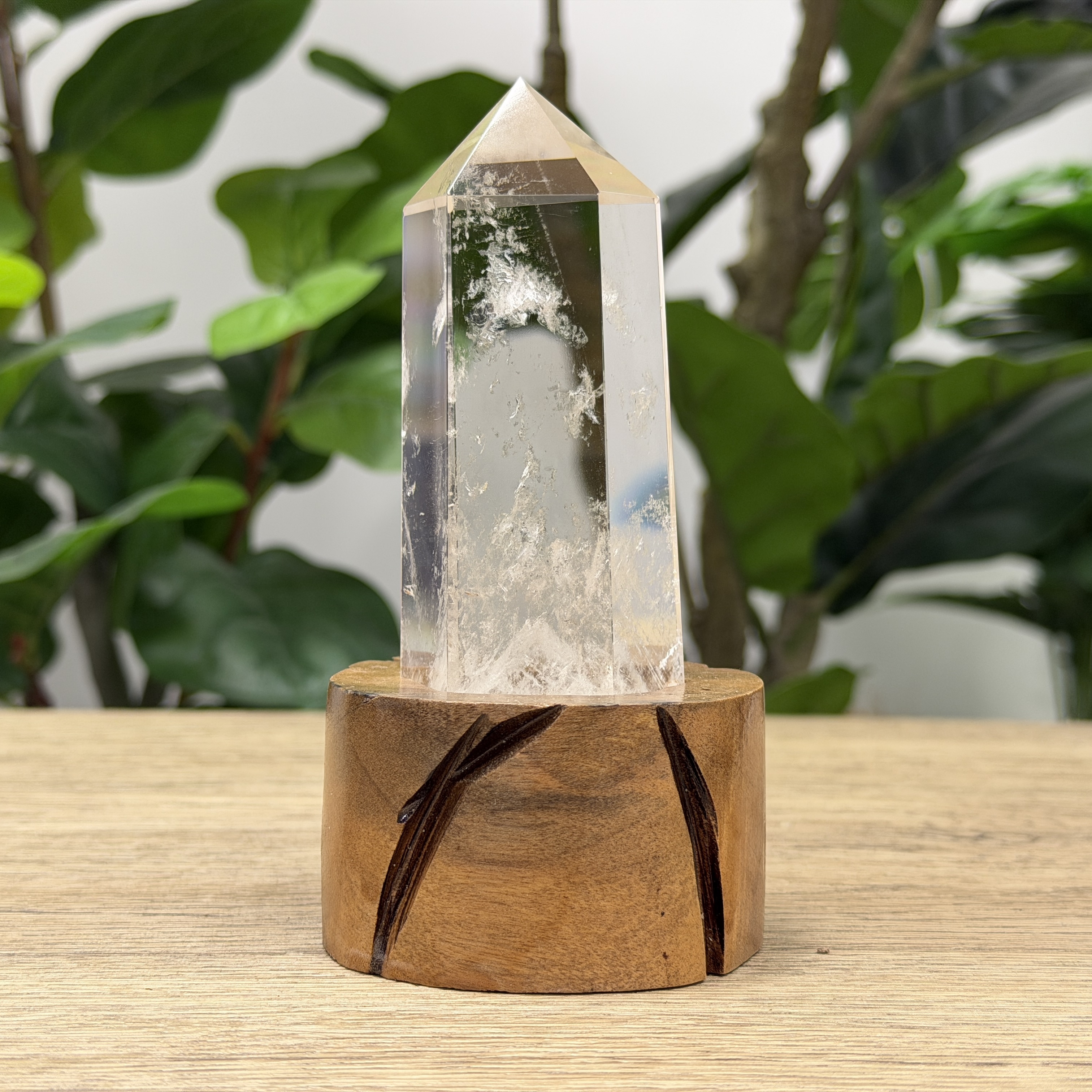 白晶柱 手圍13.5以上 WD2170