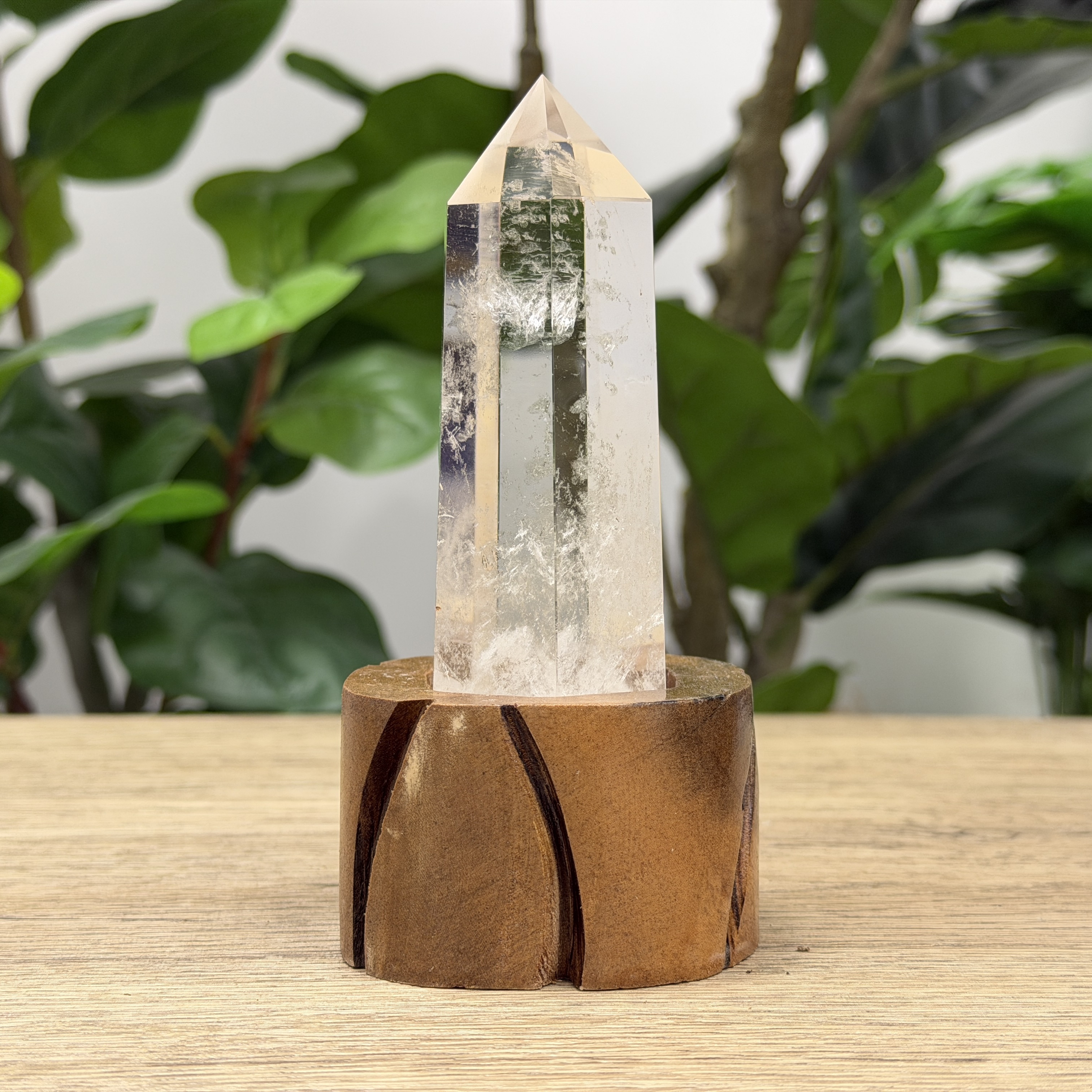 白晶柱 手圍13.5以上 WD2170