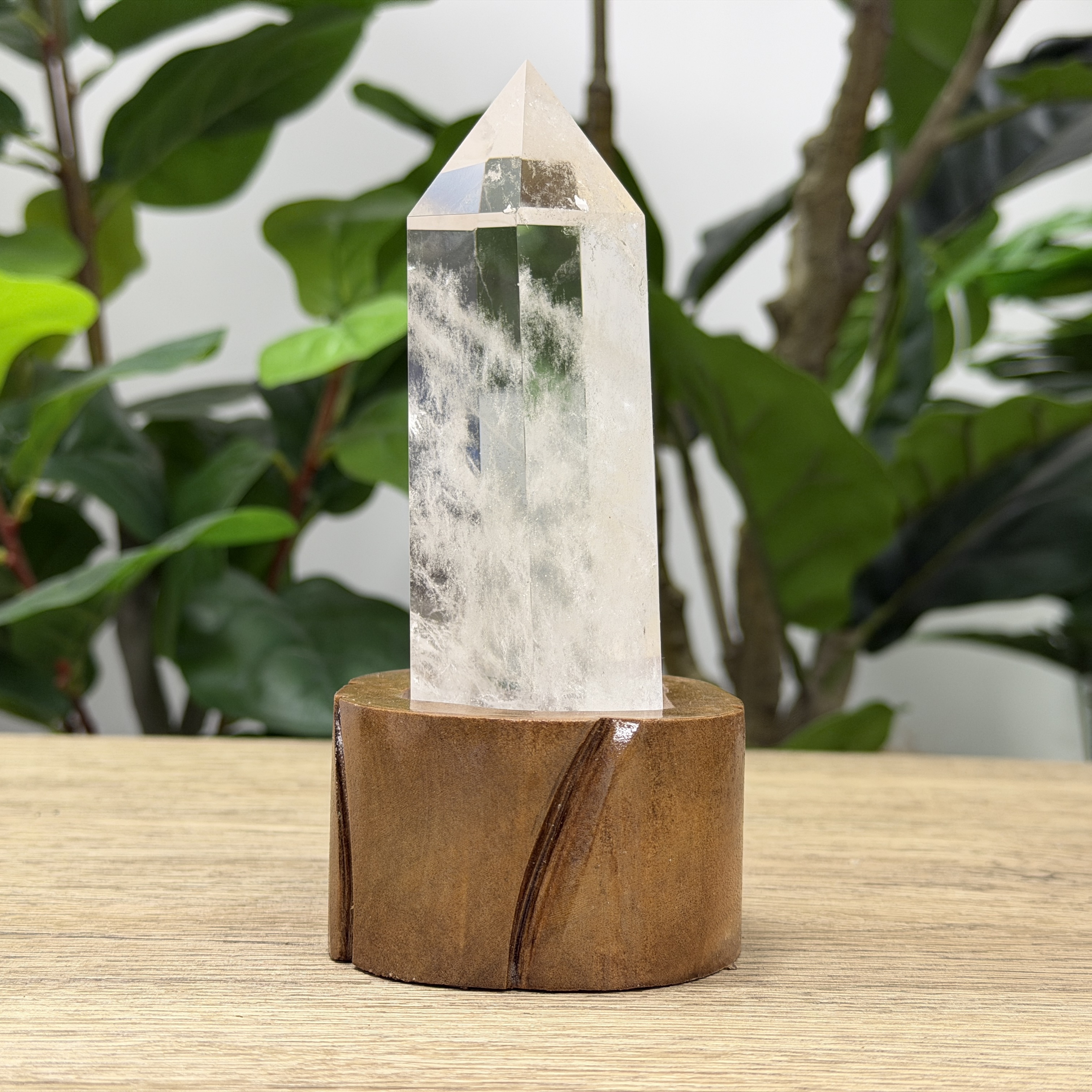 白晶柱 手圍15.5以上 WD2169