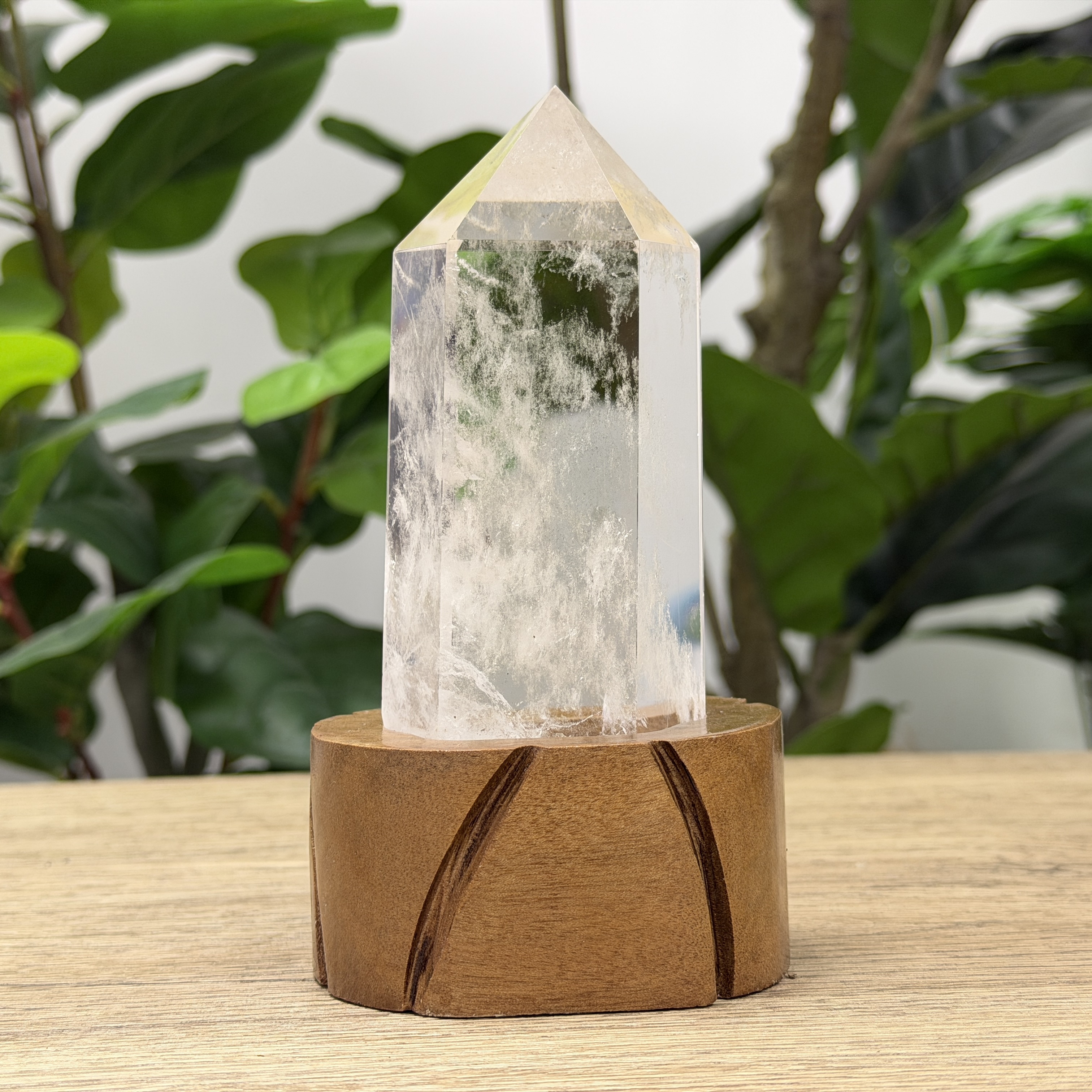 白晶柱 手圍15.5以上 WD2169